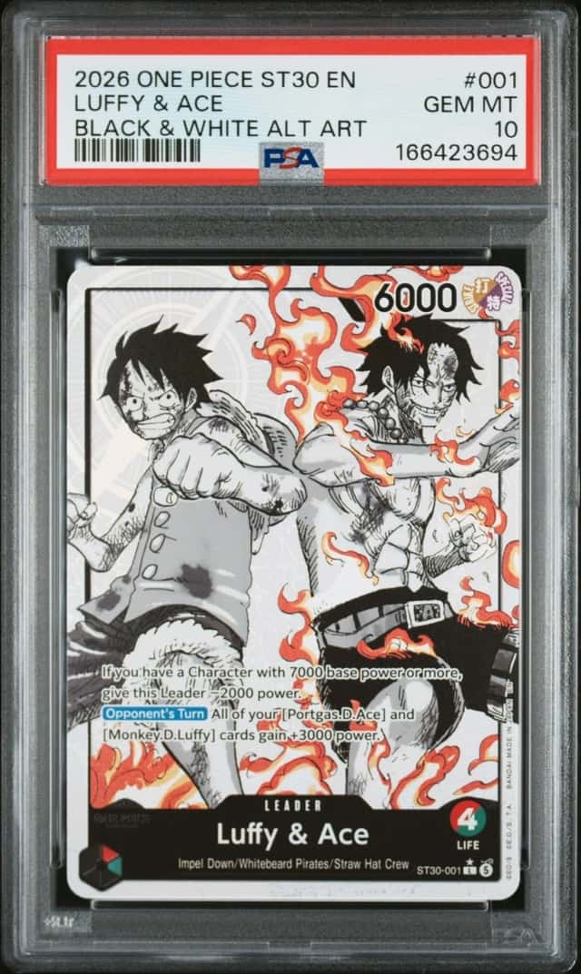 Luffy & Ace