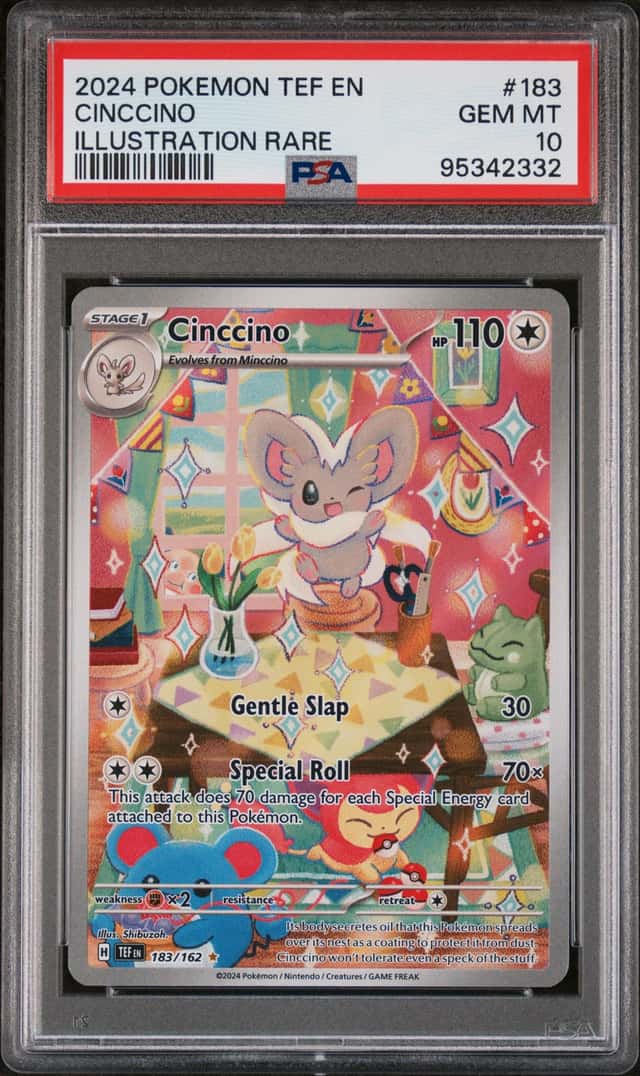Cinccino