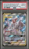 Mewtwo & Mew Gx