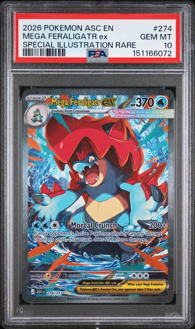 MEGA FERALIGATR ex