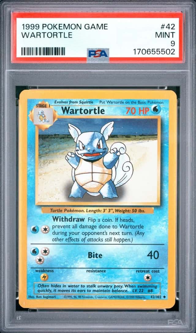 Wartortle