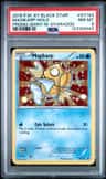Magikarp
