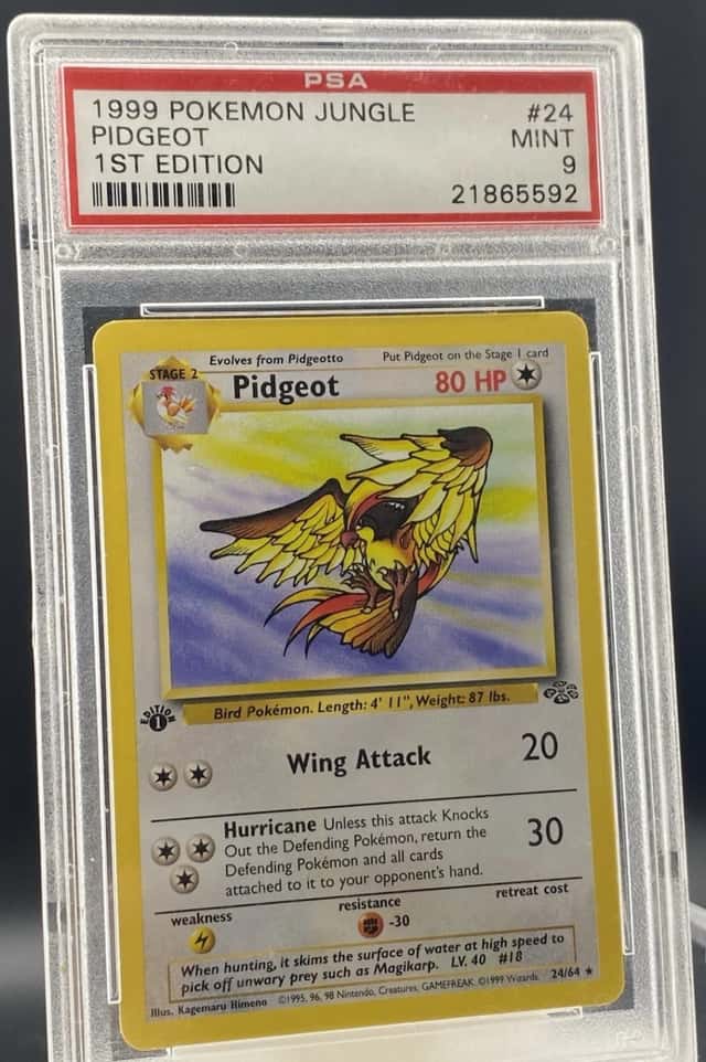 Pidgeot