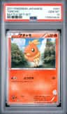 Torchic