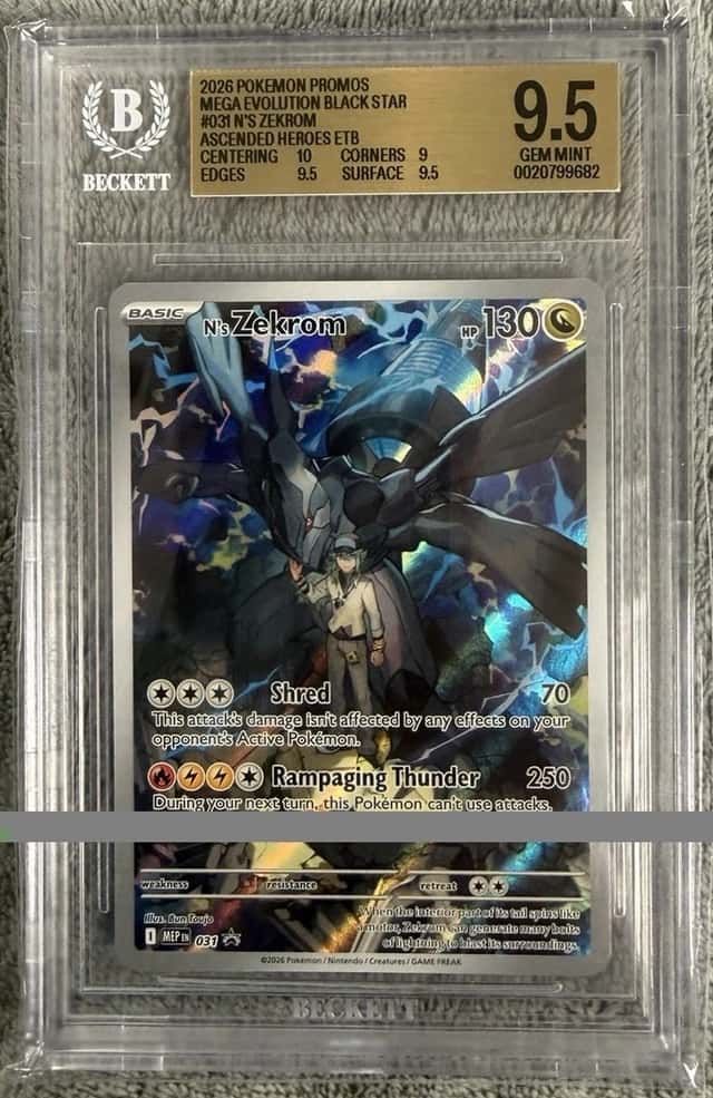N's Zekrom