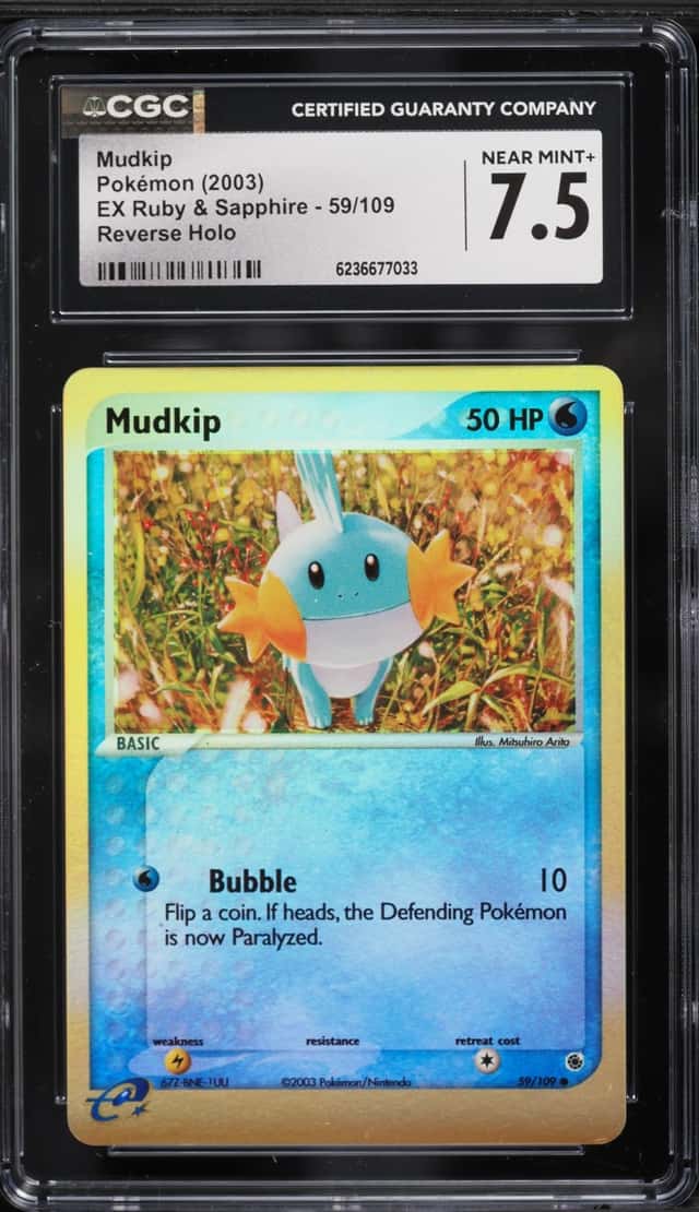 Mudkip