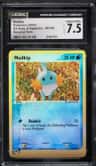 Mudkip