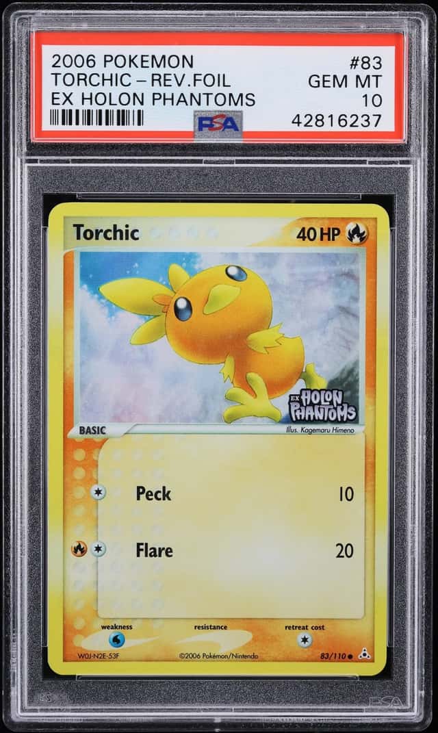 Torchic