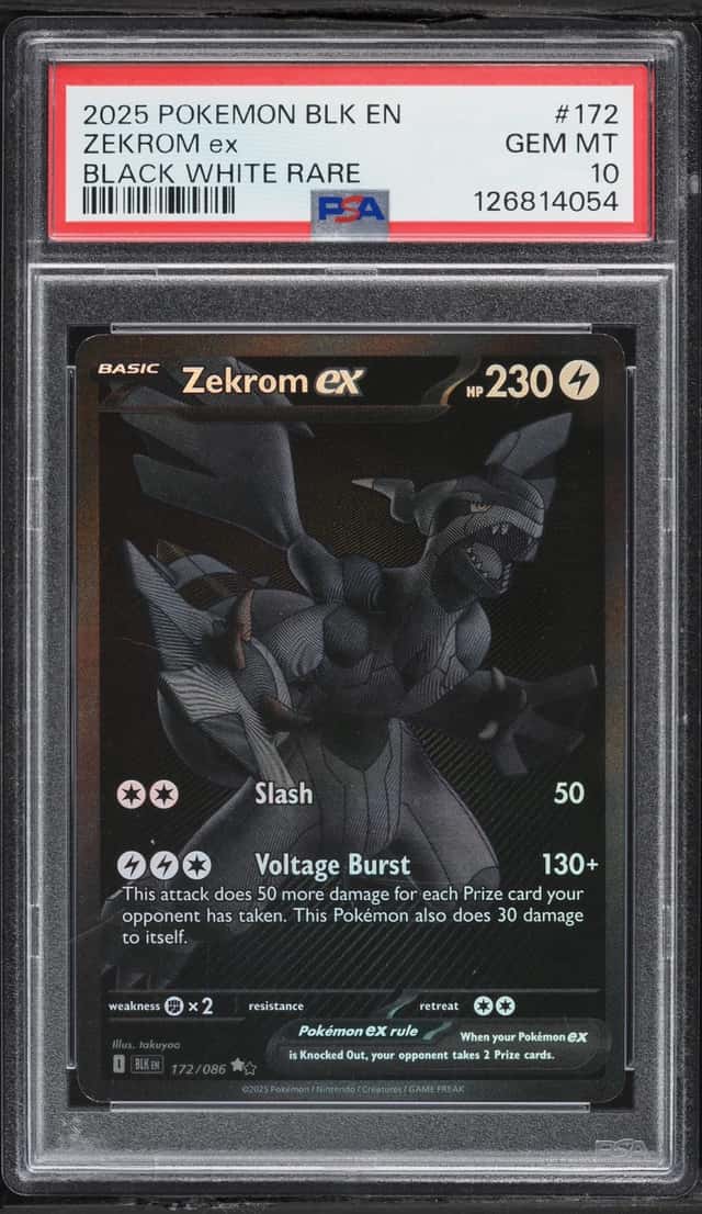 ZEKROM ex