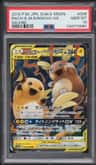 Raichu & Alolan Raichu Gx
