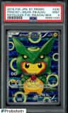 Poncho-Wearing Pikachu