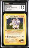 Brock'S Rhydon