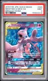 Mewtwo & Mew Gx
