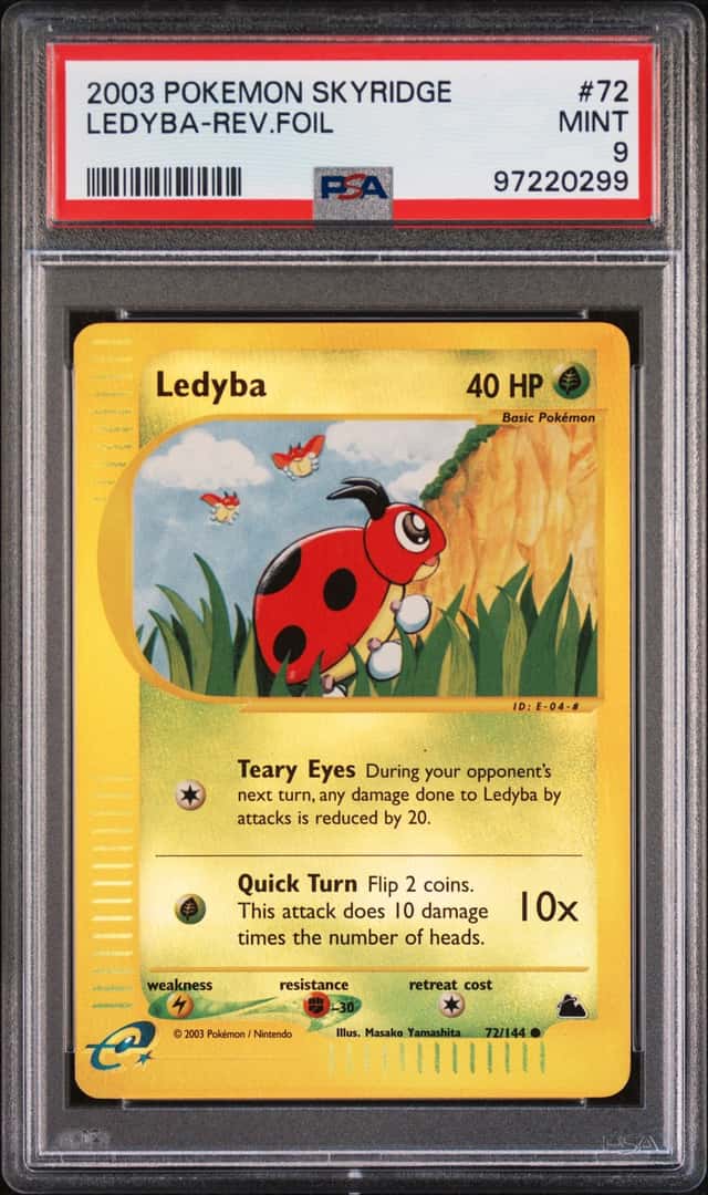 Ledyba