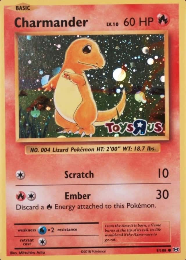 Holo