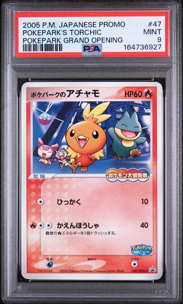 Pokepark's Torchic