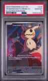 Team Rocket'S Mimikyu