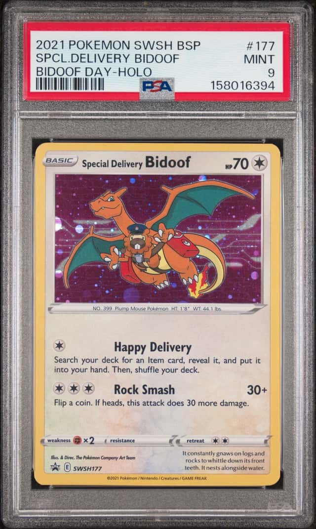 Special Delivery Bidoof