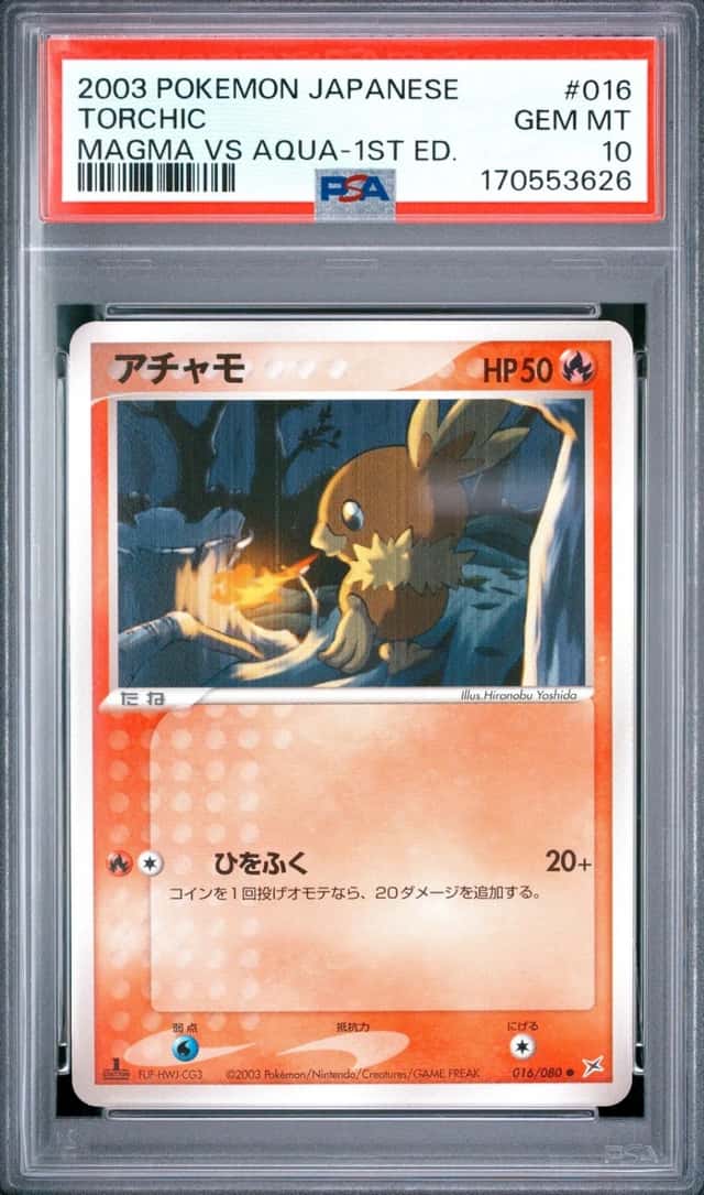 Torchic