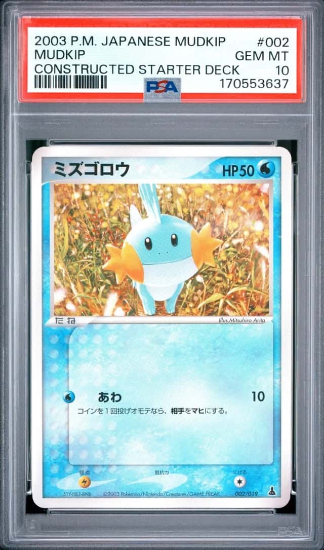 Mudkip
