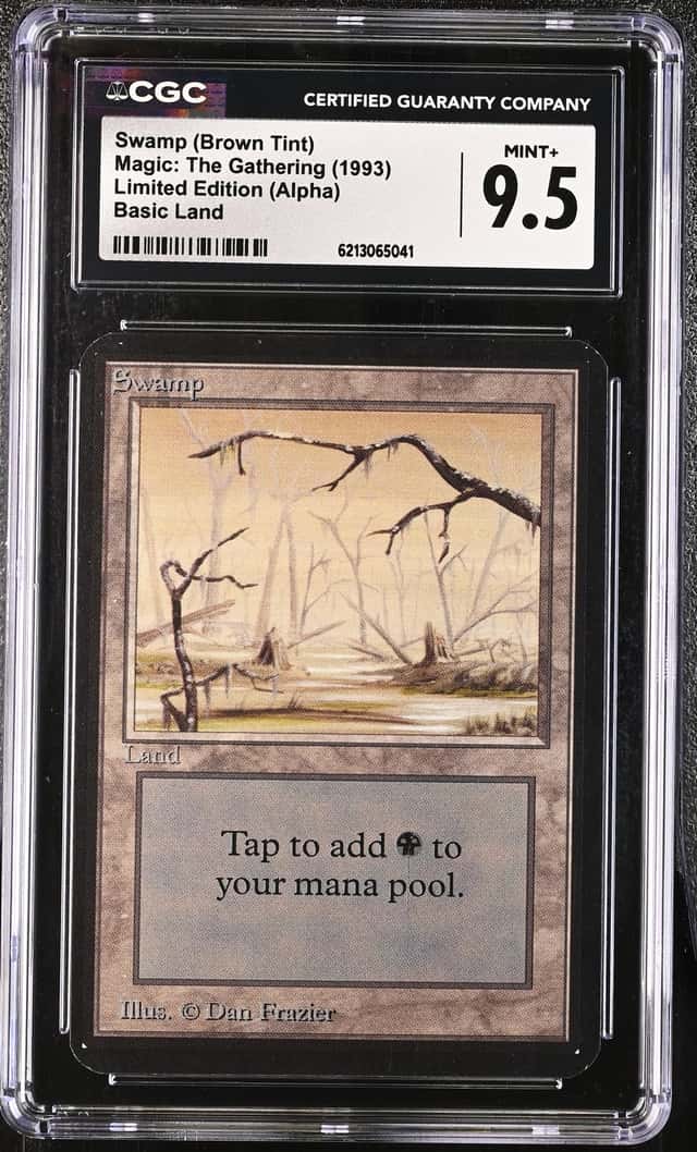 Swamp (Brown Tint)