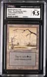 Swamp (brown Tint)