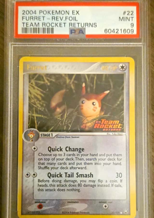 Furret