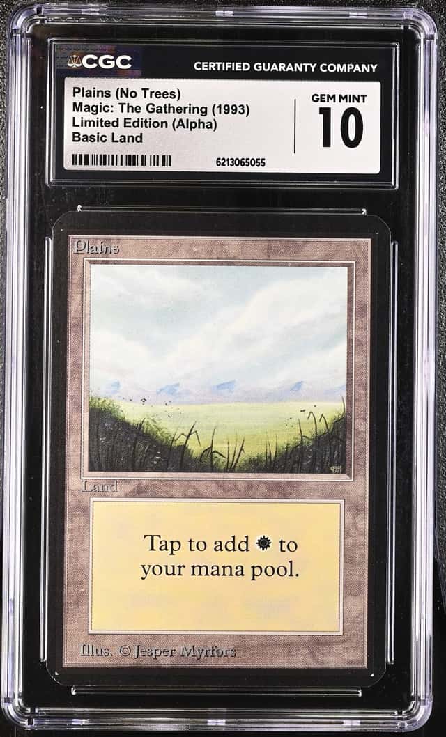 Plains
