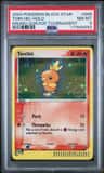Torchic