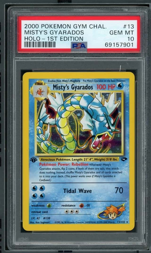 Misty's Gyarados