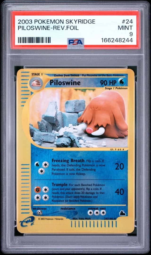 Piloswine