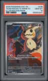 Team Rocket'S Mimikyu