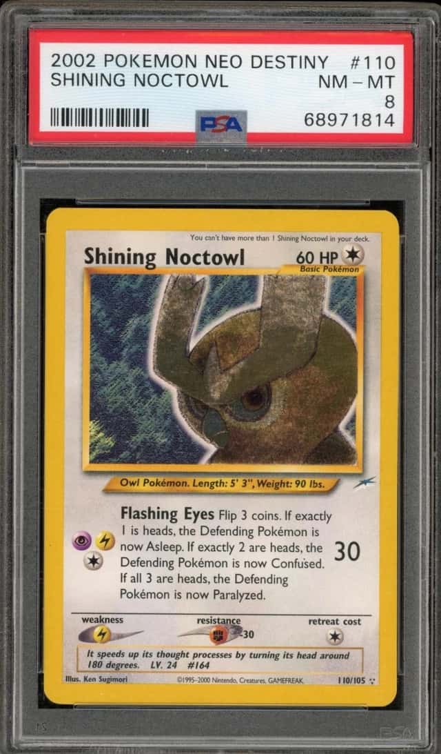 Shining Noctowl