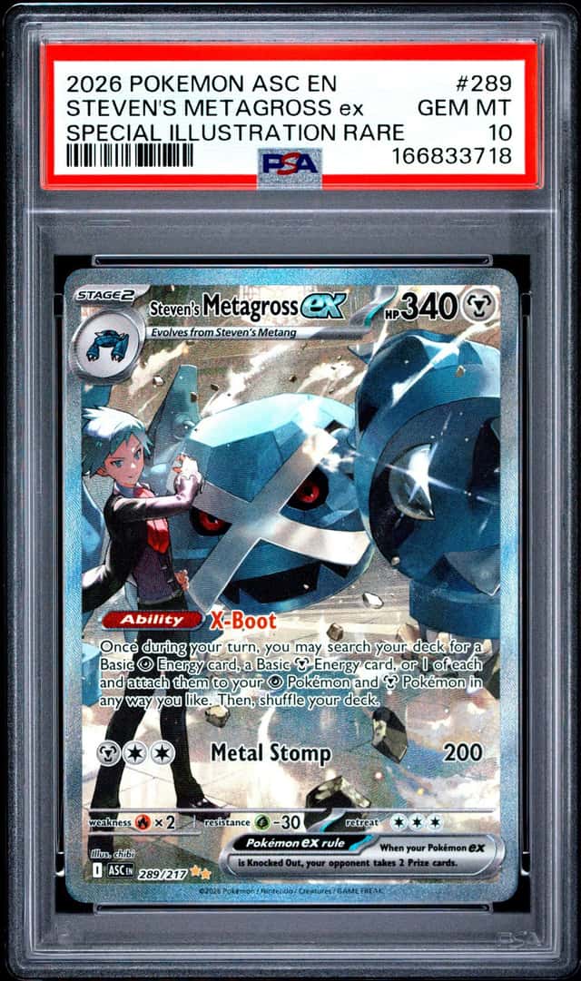 STEVEN'S METAGROSS ex