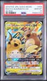 Raichu & Alolan Raichu Gx
