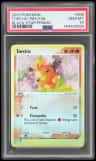 Torchic
