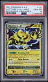 Electivire Lv X