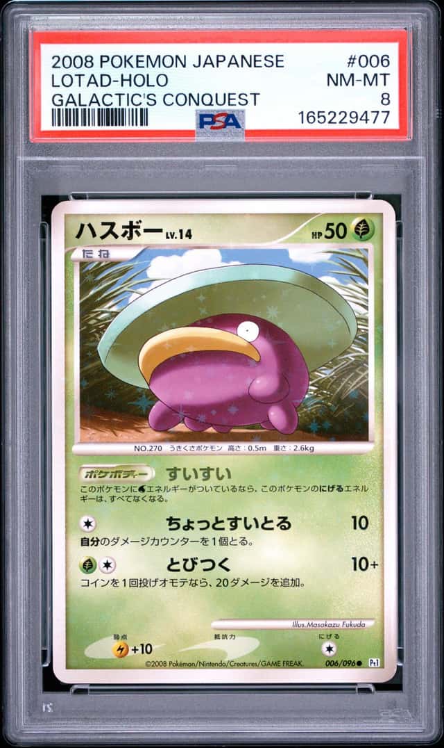Lotad