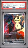 Team Rocket'S Mimikyu