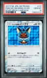 Poncho-Wearing Eevee