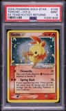 Torchic