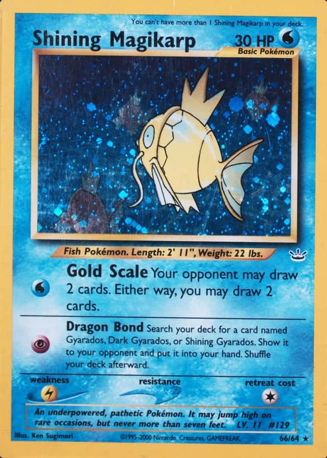 Double Holo · Error