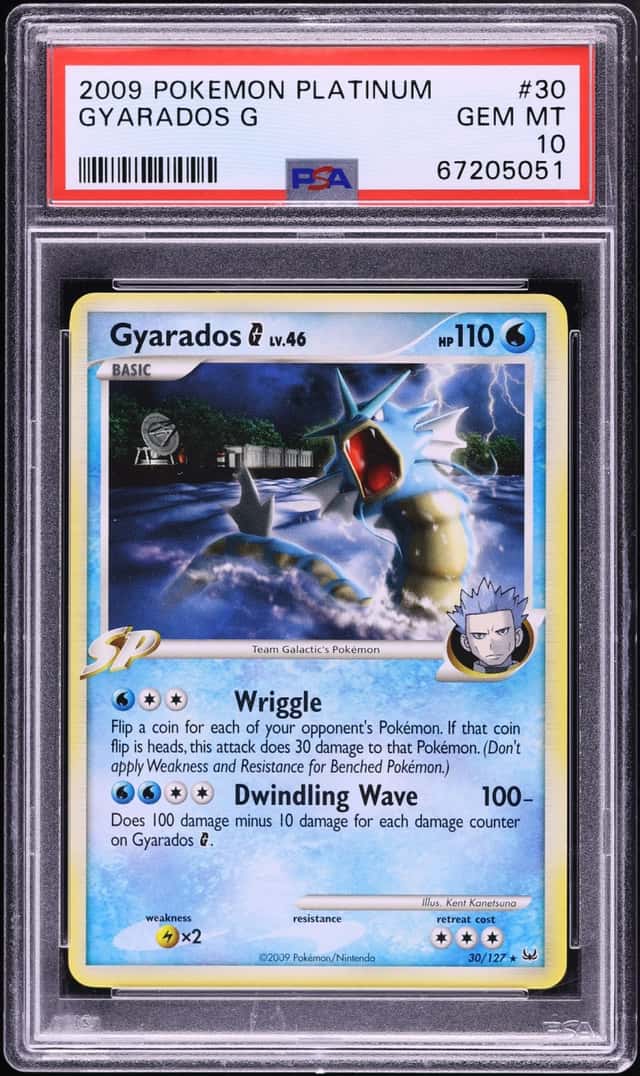 Gyarados G