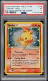 Torchic