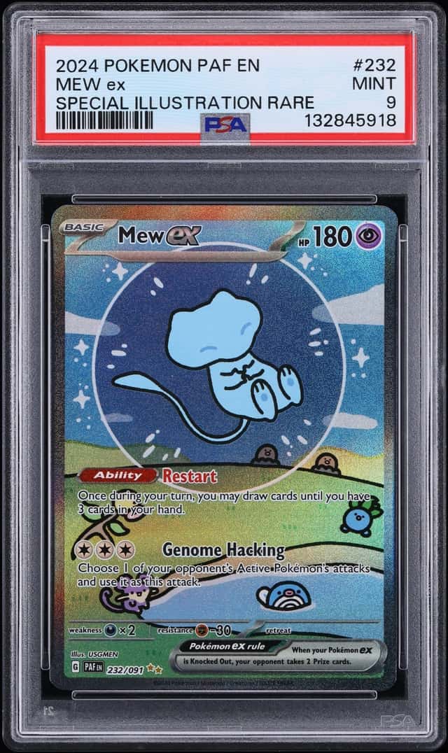 MEW ex