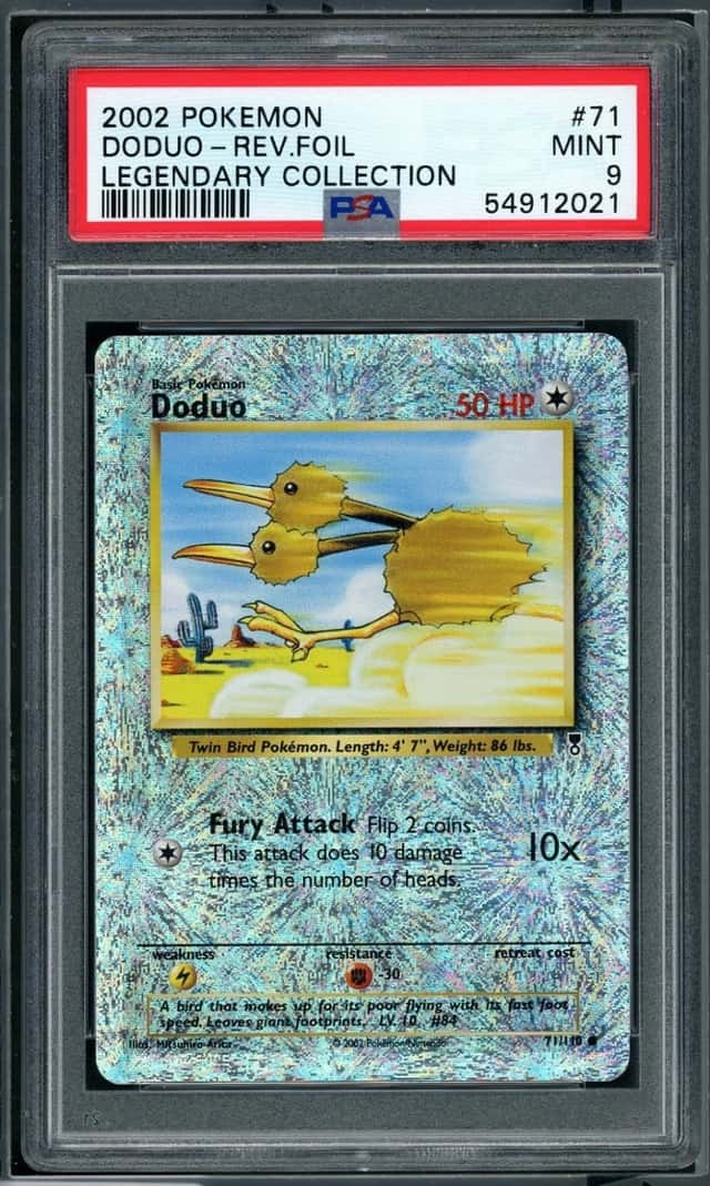 Doduo