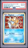 Magikarp