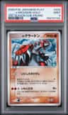 _____'S Groudon-Holo
