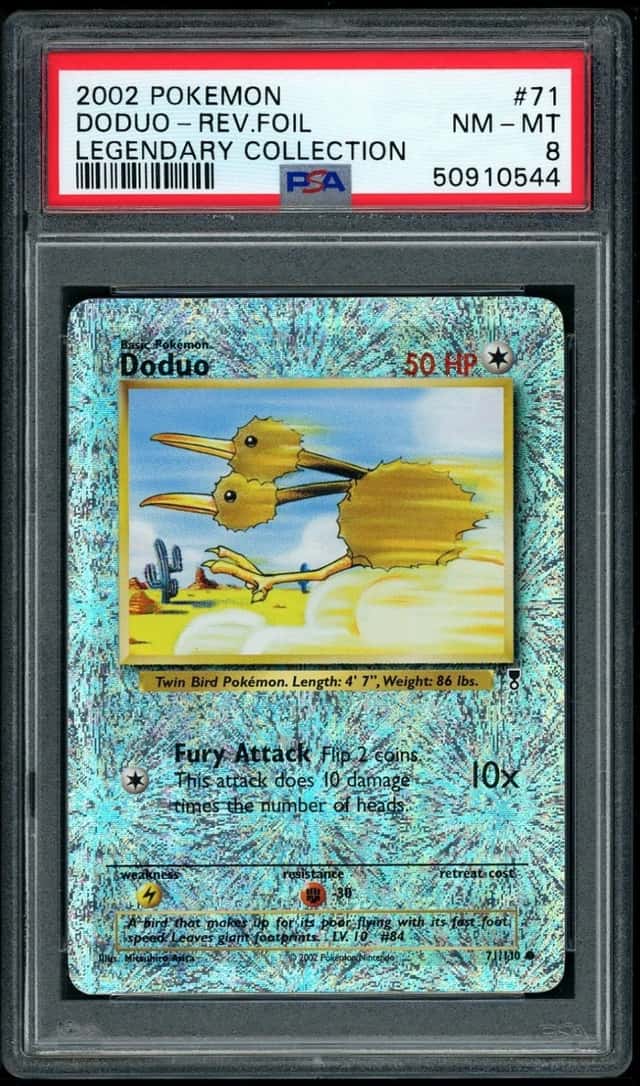 Doduo