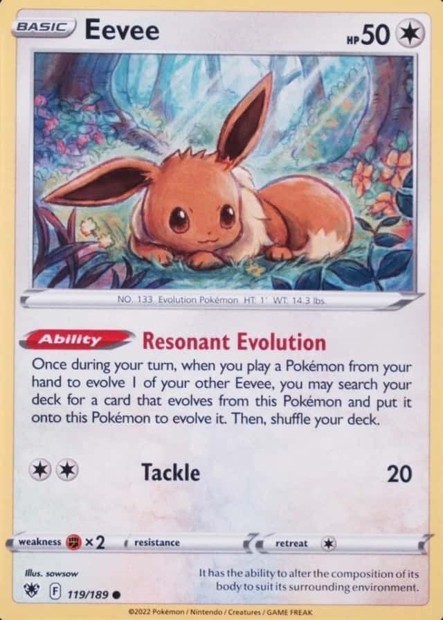 Base / no variant